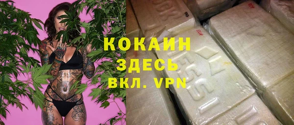 экстази Няндома