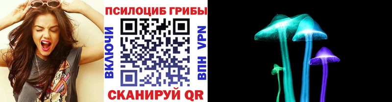 shop как зайти  Щучье  Галлюциногенные грибы GOLDEN TEACHER 
